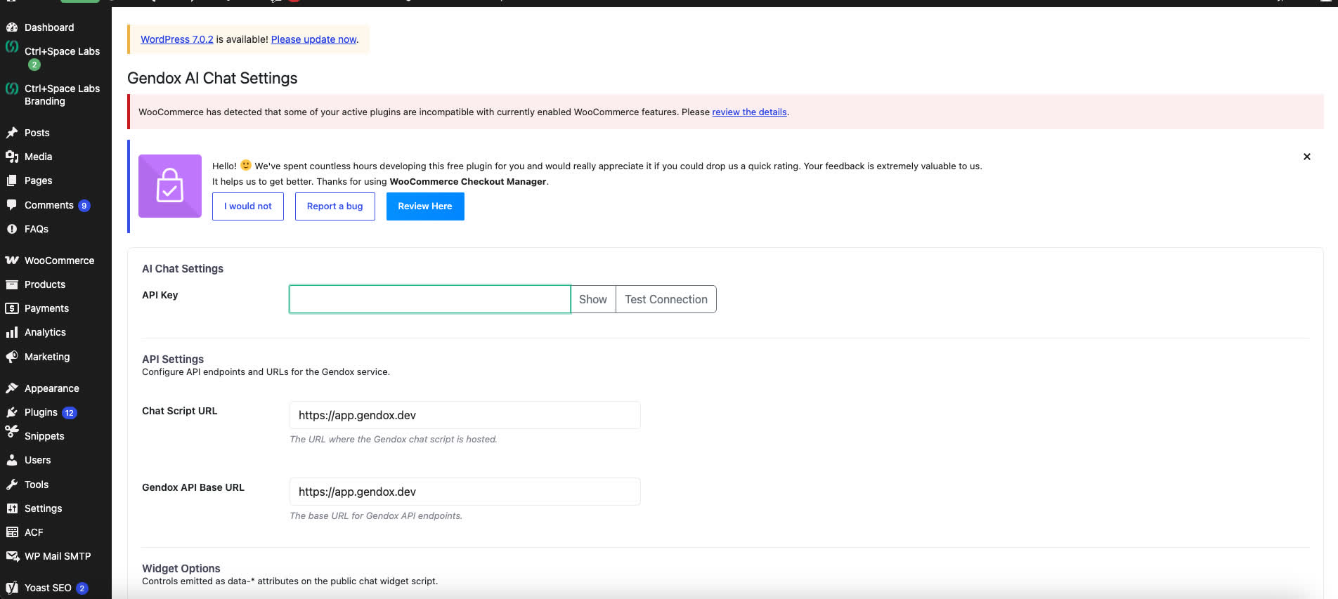 Paste the API key in AI Chat Settings
